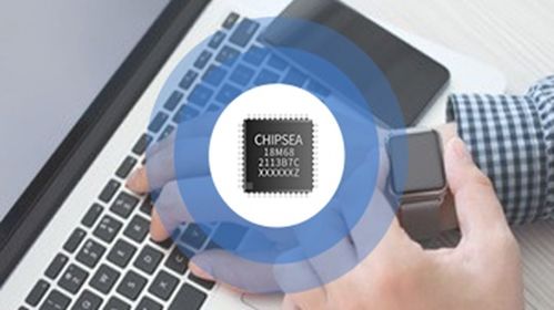 芯海科技 下游需求旺盛,存在不能完全保證產(chǎn)品及時供應的風險