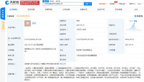 京東云計(jì)算拓展智能城市版圖，新設(shè)科技公司布局動(dòng)漫游戲開發(fā)與系統(tǒng)集成